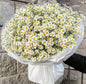 Bouquet of 30 chrysanthemums